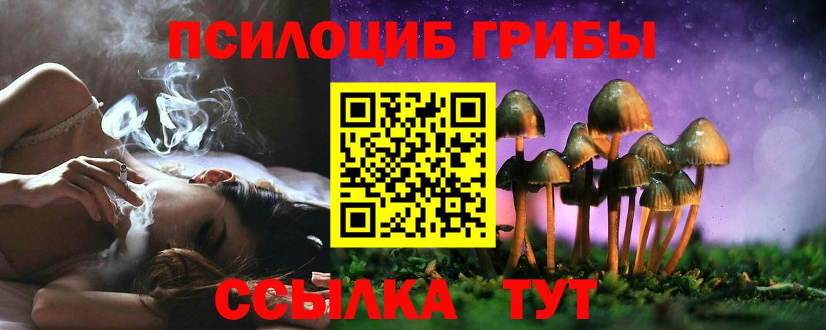 Псилоцибиновые грибы MAGIC MUSHROOMS Сегежа